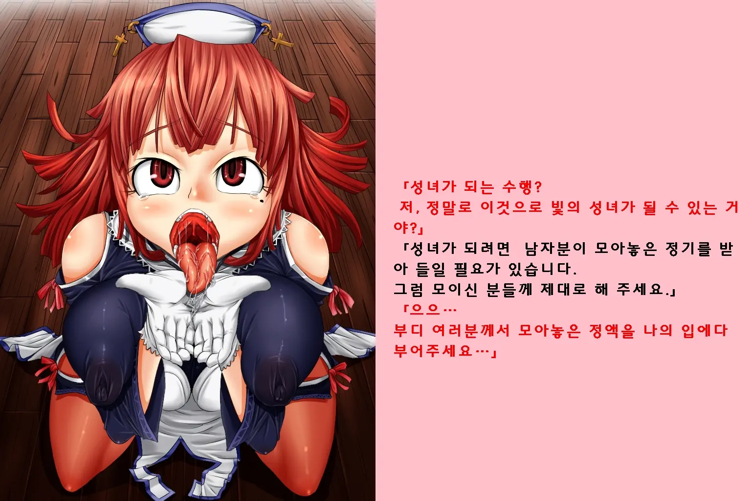 Seijo Shugyou | 성녀 수행